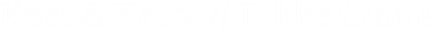 logo_hvid